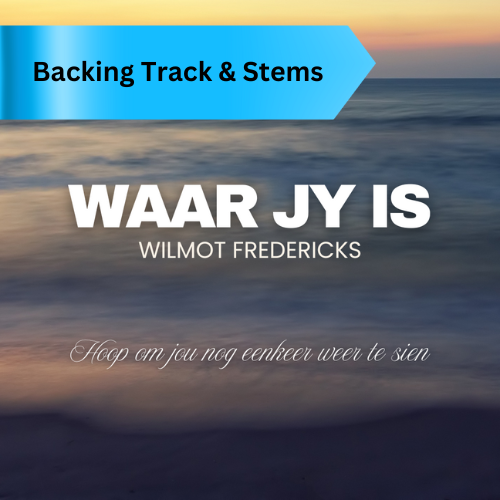 Backing Track - Wilmot Fredericks - Waar jy is